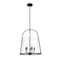 Z-Lite Archis Pendant, 5-Light, 18 In.W x 21 In.H, Matte Black/Clear 3041P18-MB - alternate 3